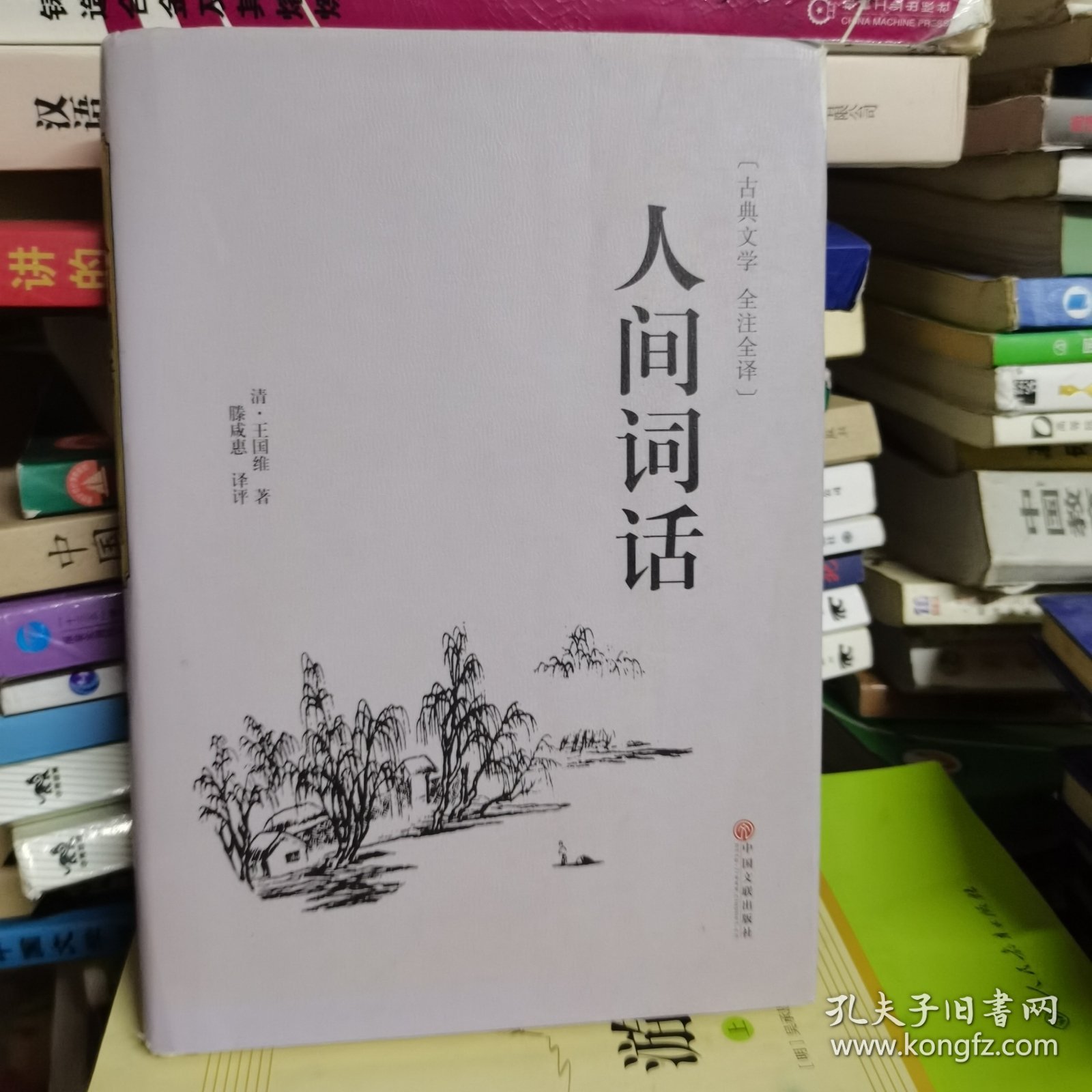 人间词话（古典文学 全注全译）