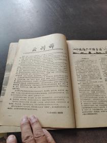 人生与伴侣创刊号