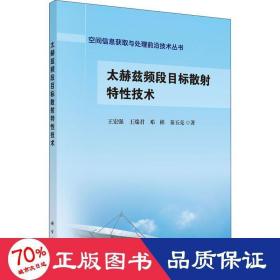 太赫兹频段目标散射特性技术