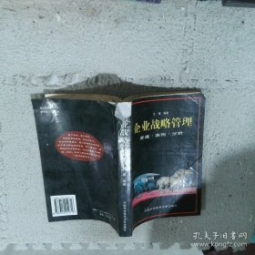 企业战略管理原理·实例·分析