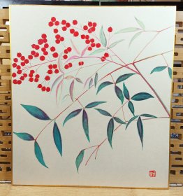 南天寿竹 精品名家日本色卡 手绘品 纸本，画功佳，色彩佳， 长27cm宽24Cm。