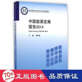 中国能源发展报告2014 科技综合 林伯强 新华正版