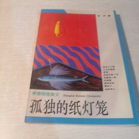 孤独的纸灯笼：青春美文系列·青春感悟美文