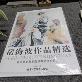 中国高等美术院校教学范本精选 岳海波作品精选