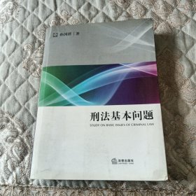 法学研究生教学书系：刑法基本问题