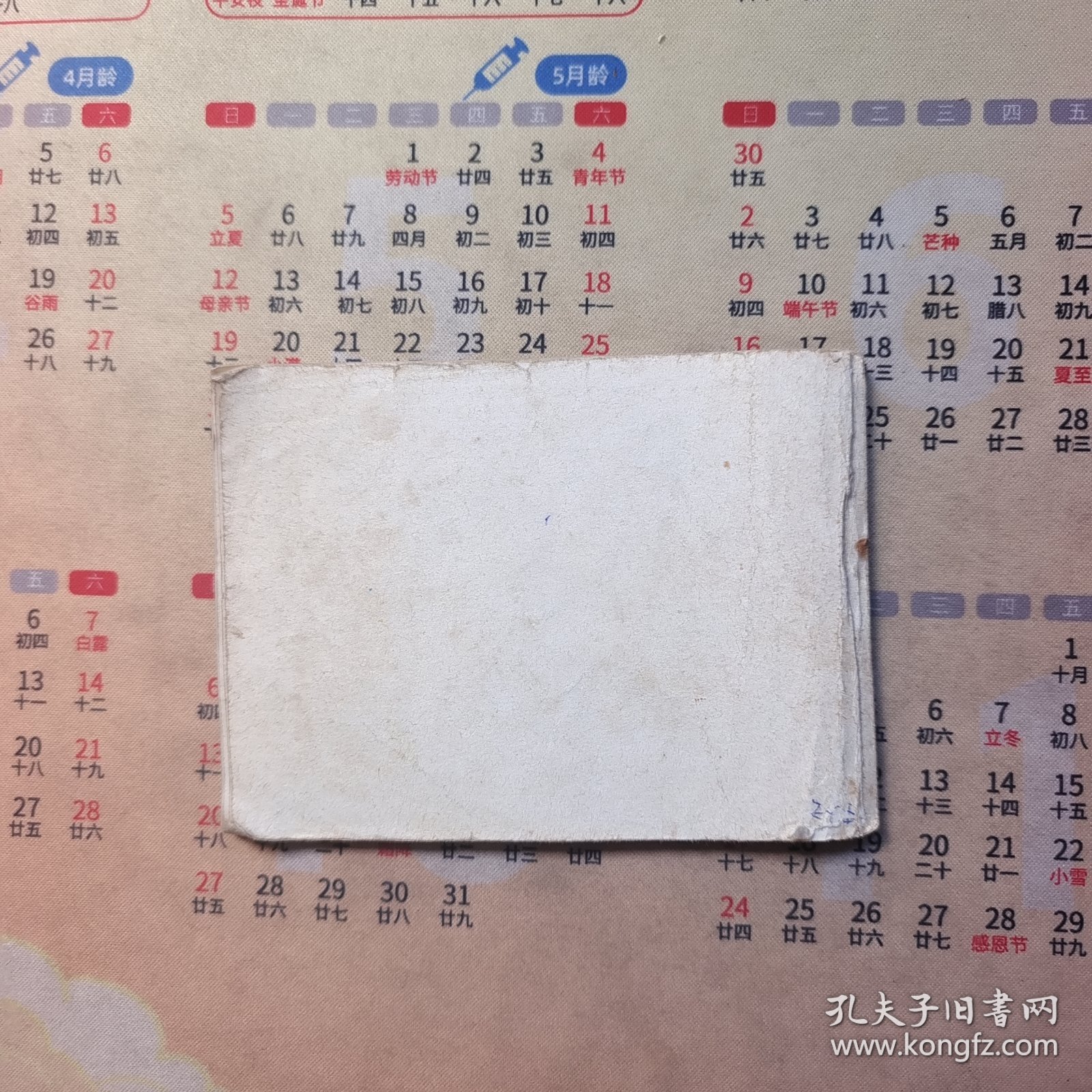 连环画：抗金凯旋（说岳全传之八）