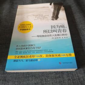 因为痛，所以叫青春：写给独自站在人生路口的你