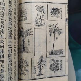 清咸丰木刻罕见《植物学》国内最早版本，英国使臣口述，一册八卷全