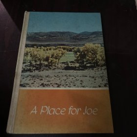 A PLACE for joe