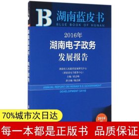 2016年湖南电子政务发展报告