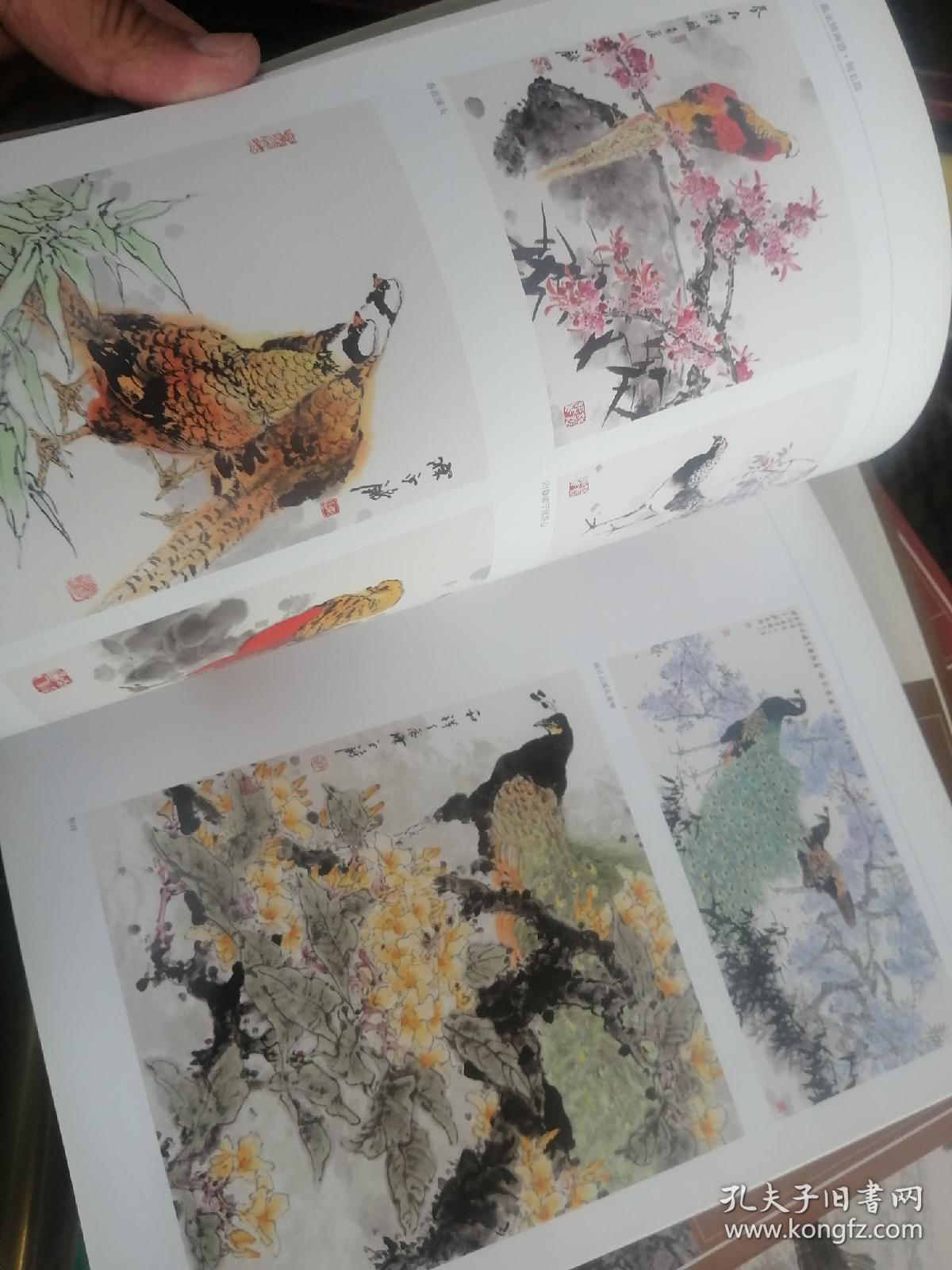 陈永锵画谱·翎毛篇