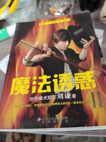 魔法诱惑II