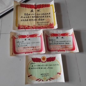 青海青化公司加工厂支部頒发给职工王美丽女士奖状四张。规格分别为：52.5*38、38*30CM。