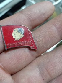 中苏友好协会会员纪念章，品佳。