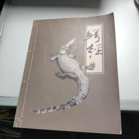 鳄经（有关鳄鱼）