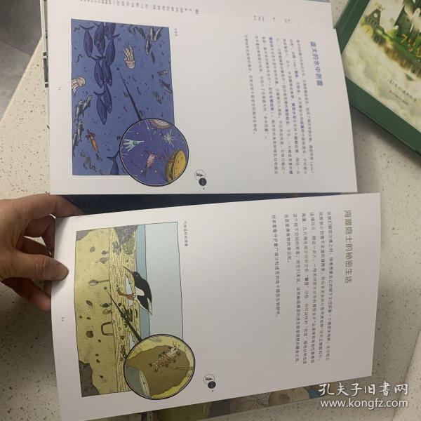 微观世界：谜一样的小生命（精装科普）2017年博洛尼亚国际童书展非虚构类“特别推荐奖”