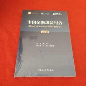 中国金融风险报告（2021）