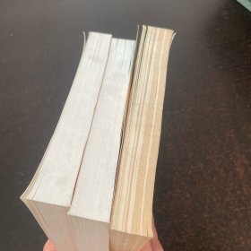 捷克语 第2册 第3册 捷克语语法（3册合售）
