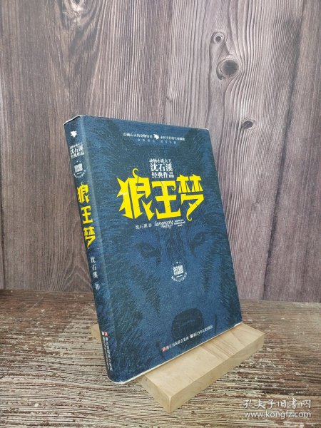 动物小说大王沈石溪经典作品·荣誉珍藏版：狼王梦