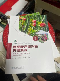 德昂族产业兴旺关键技术