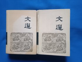 《文选（上下）》，32开。