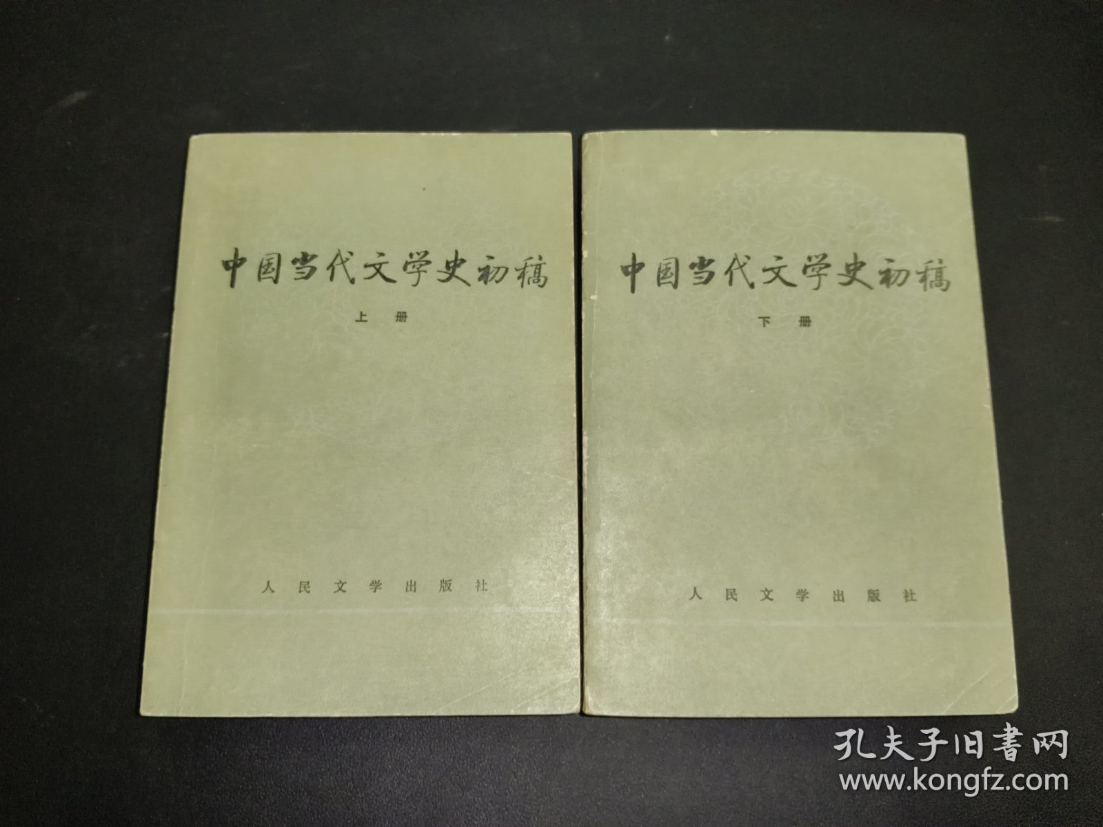 中国当代文学史初稿 上下