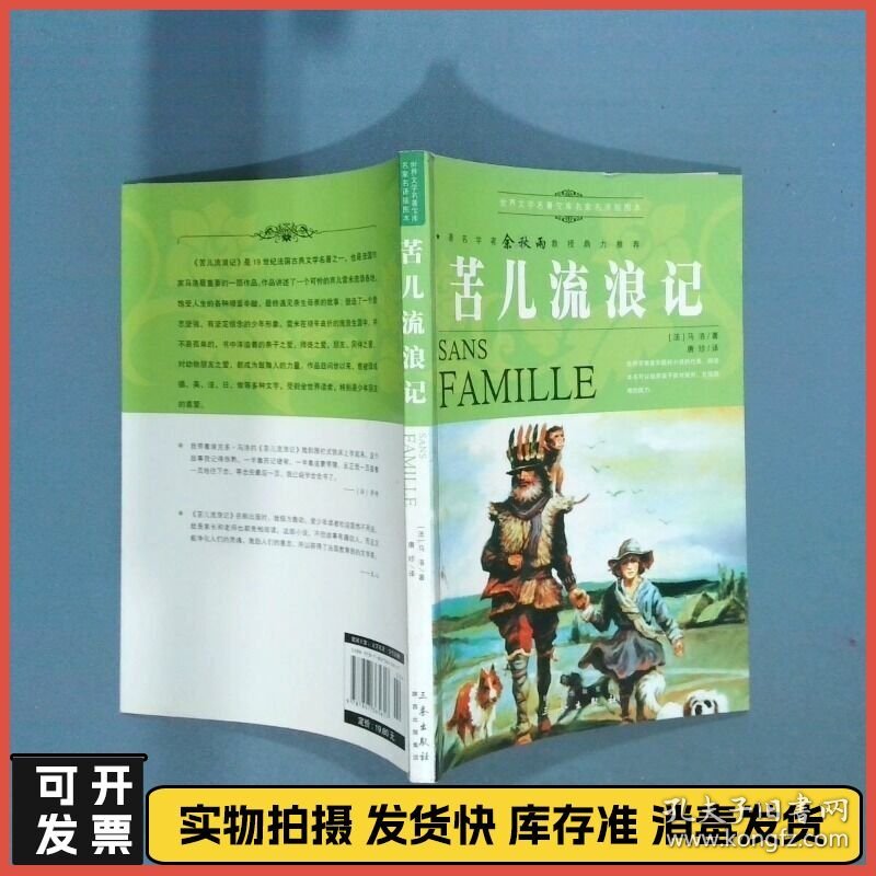 名家名译世界文学名著宝库 苦儿流浪记  马洛著 唐珍著 三秦出版社