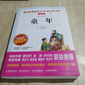 爱阅读课程化丛书/快乐读书吧/爱阅读：童年/高尔基