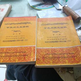甘孜州文史资料 第九辑 第十辑