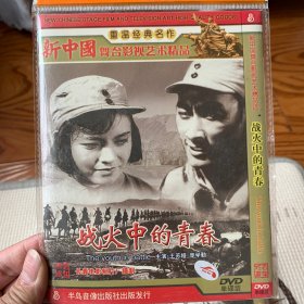 战火中的青春 DVD