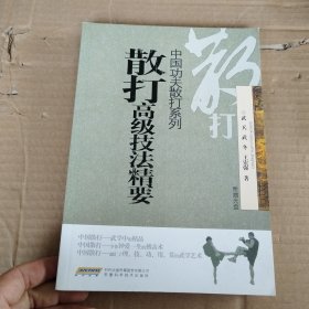 散打高级技法精要