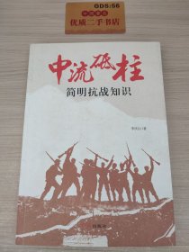 中流磁柱