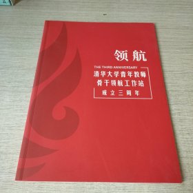 领航：清华大学青年教师骨干领航工作站成立三周年