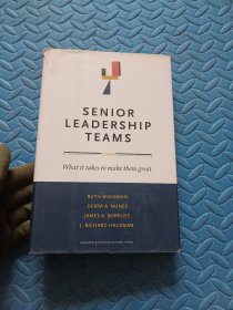 Senior Leadership Teams: What It Takes to Make Them Great (Leadership for the Common Good)