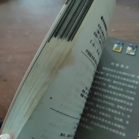 淘气包马小跳系列：寻找大熊猫