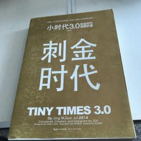 小时代3.0刺金时代（修订本）