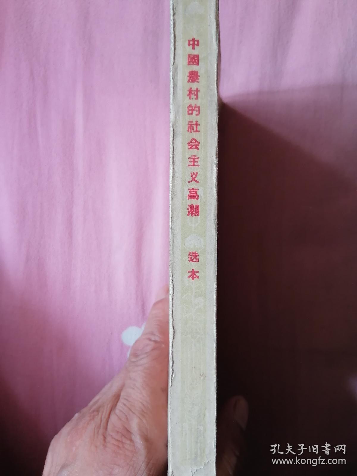 中国农村的社会主义高潮（一版一印）