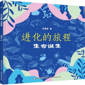 进化的旅程 生命诞生