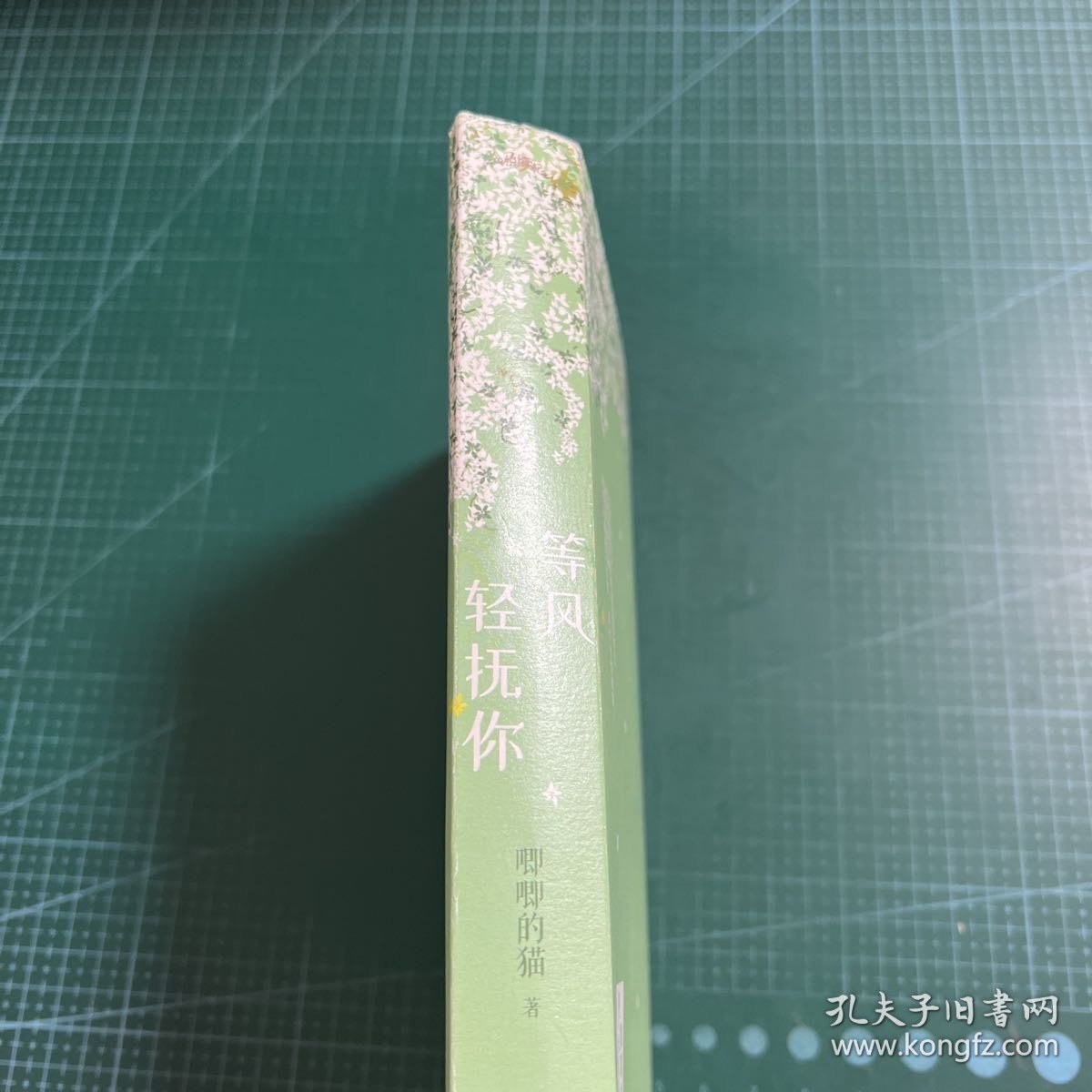 等风轻抚你（上下）原名等风热吻你她的小梨涡作者唧唧的猫新作