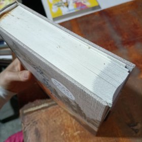 中国古典历史演义小说丛书：说岳全传.