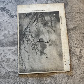 《摄影画报》第十一卷十期，471 号