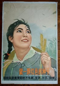 六十年代宣传画:做一颗红色的种子.(哈琼文作.上海人民美术岀版社岀版)