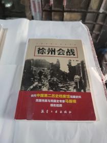 徐州会战/正面战场抗战启示录(在176号)