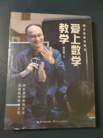 爱上数学教学（大教育书系）