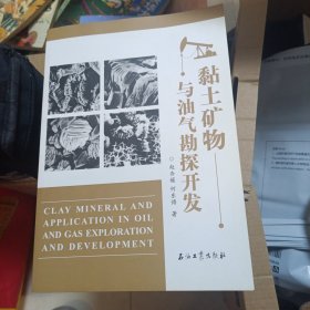 黏土矿物与油气勘探开发