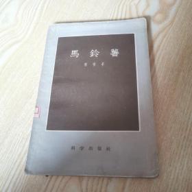 马铃薯