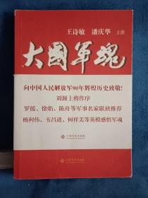大国军魂