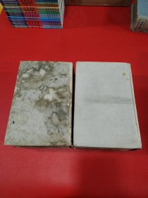 列宁文选两卷集1.2