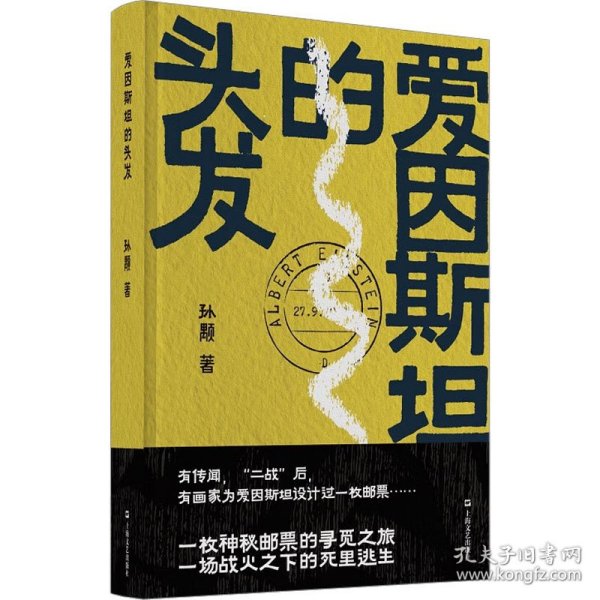 爱因斯坦的头发（孙颙奇思小说系列 —太史公笔法书写奇人奇事：一枚神秘邮票的寻觅之旅，一场战火之下的死里逃生）