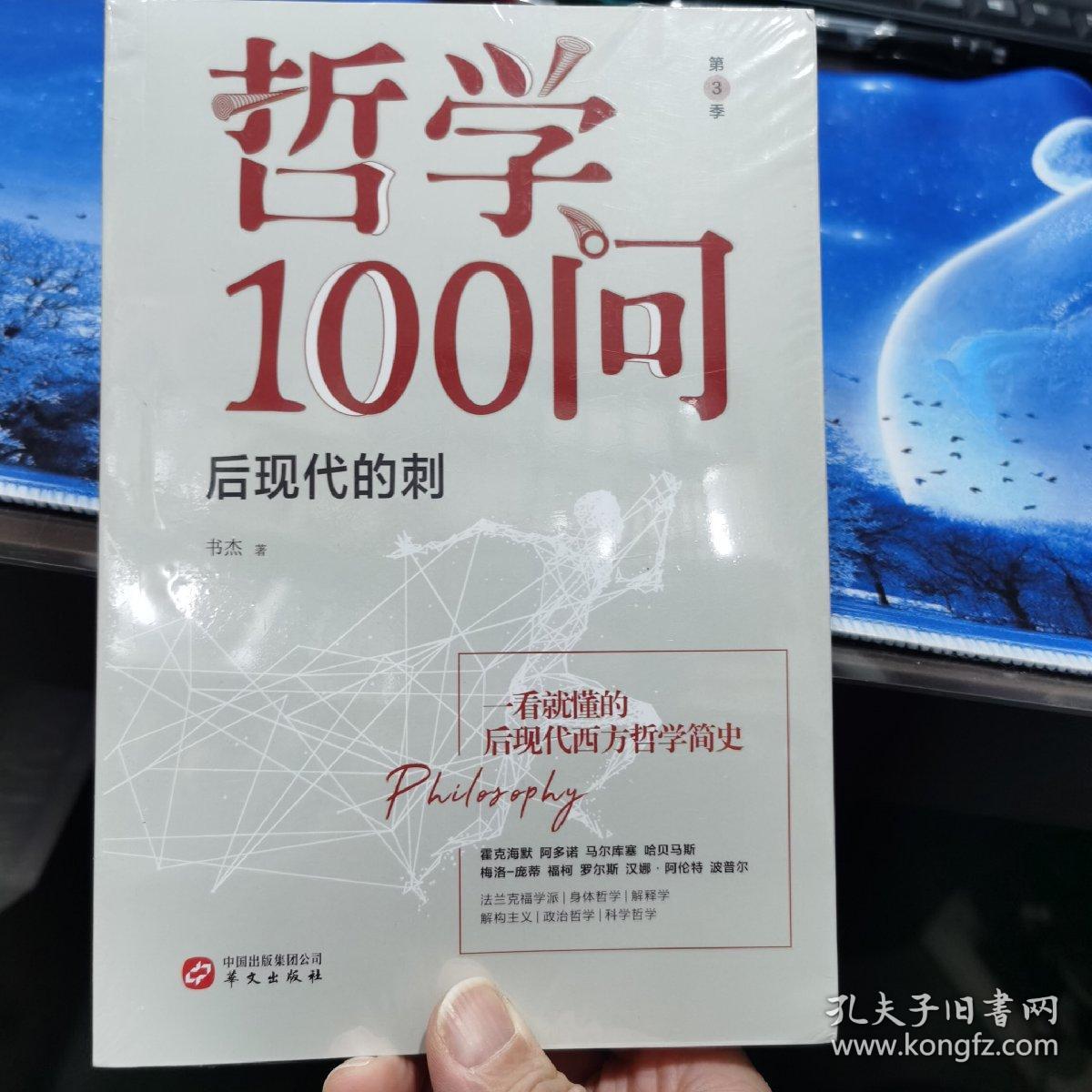 哲学100问单本 后现代的刺